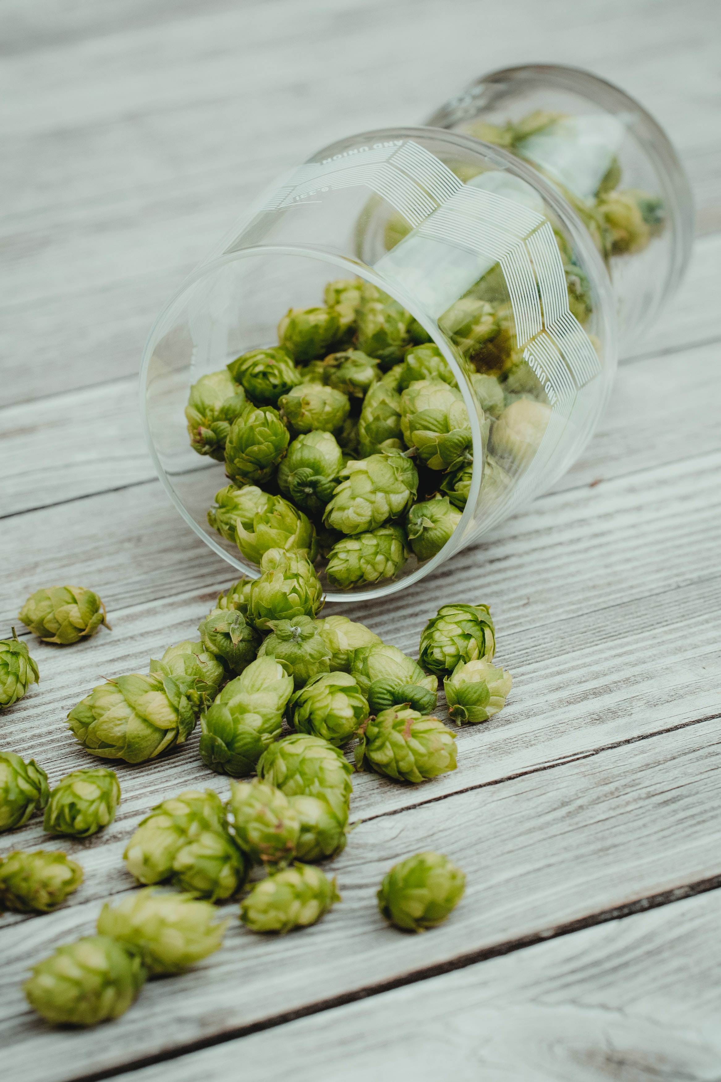 Nachisomerisierungszeit von Hopfen beim Bierbrauen.